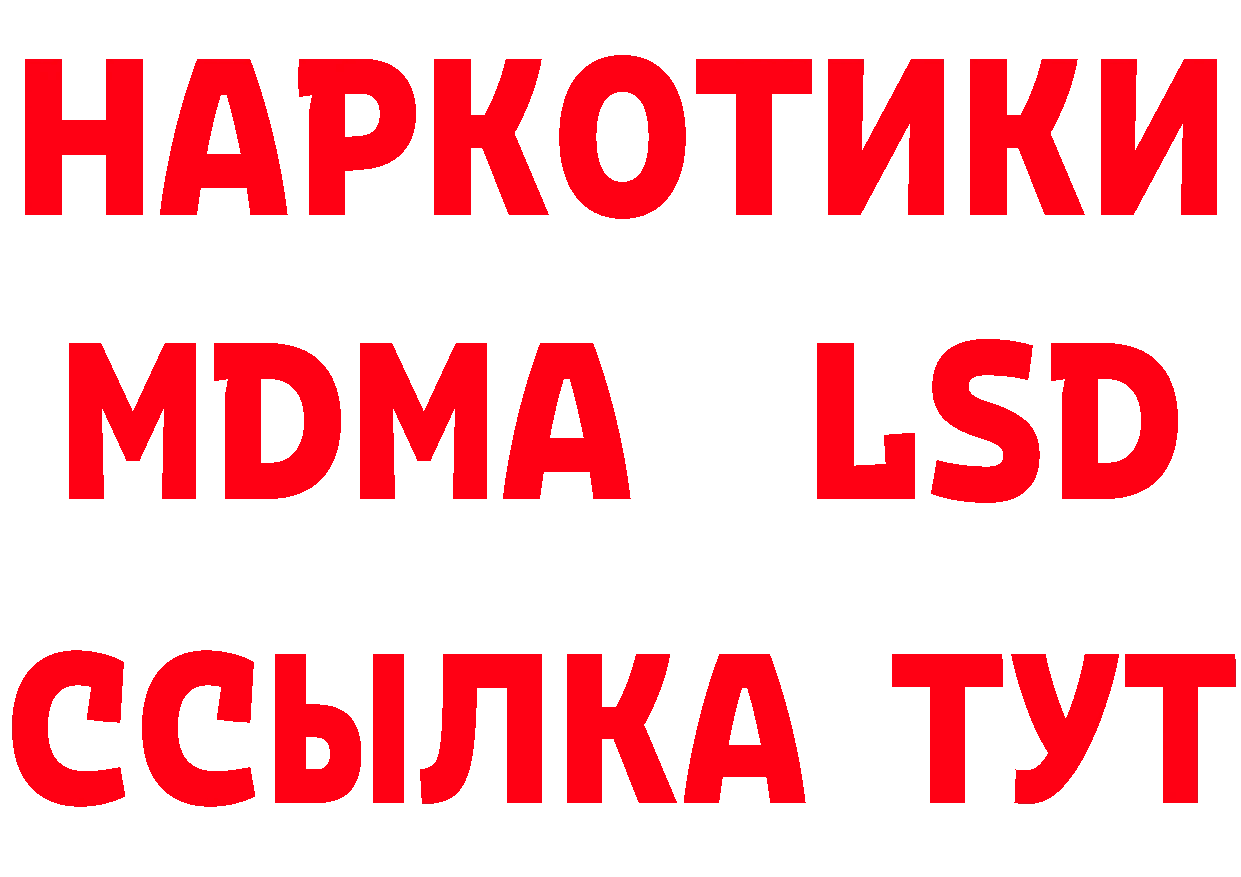 ГАШ гарик вход площадка МЕГА Цоци-Юрт